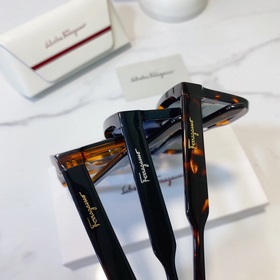 Salvatore Ferragamo Модель： SF1021 Размер： 48/23-145