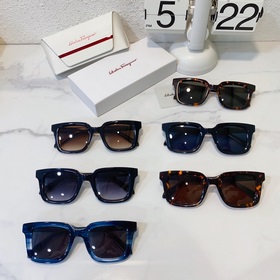 Salvatore Ferragamo Модель： SF1021 Размер： 48/23-145