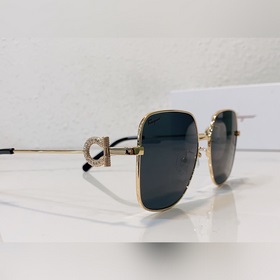 Salvatore Ferragamo Модель： SF243SR Размер： 58/18-142