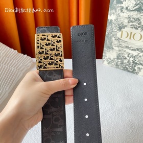 Эта металлическая пряжка для ремня из латуни с покрытием от Dior 