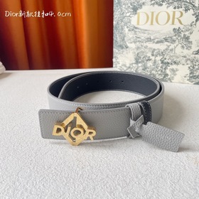 Эта металлическая пряжка для ремня из латуни с покрытием от Dior 
