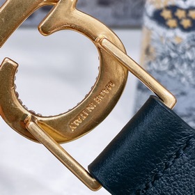 Новая модель Dior 23 для весны, поясная пряжка в форме седла CD. 
