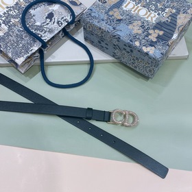 Новая модель Dior 23 для весны, поясная пряжка в форме седла CD. 