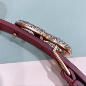 Новая модель Dior 23 для нового года, поясная пряжка в форме седл