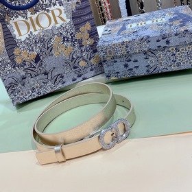 Новая модель Dior 23 для нового года, поясная пряжка в форме седл