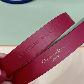 Новая модель Dior 23 для нового года. Поясная пряжка в форме седл