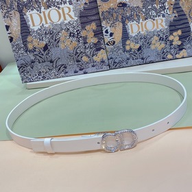 Новая модель Dior 23 для нового года, поясная пряжка в форме седл