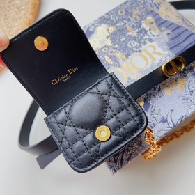 DIOR поясная сумка с золотой застежкой Внутренняя сторона украшен