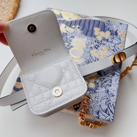 DIOR поясная сумка с золотой застежкой Внутренняя сторона украшен