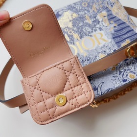DIOR поясная сумка с золотой застежкой Внутренняя сторона украшен