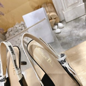 Классическая весенняя и летняя коллекция Dior из лакированной кож