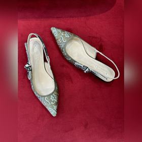 Классические туфли Dior с открытой пяткой #2023 новые цвета# Клас
