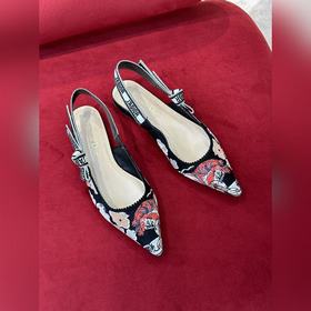 Классические туфли Dior с открытой пяткой #2023 новые цвета# Клас