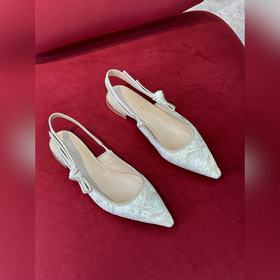 Классические туфли Dior с открытой пяткой #2023 новые цвета# Клас