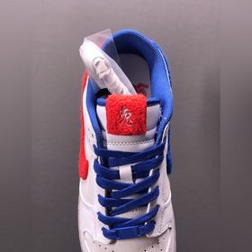 Nk Dunk Low Team Red SB низкие кроссовки для спорта и отдыха FD4