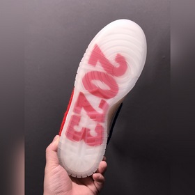 Nk Dunk Low Team Red SB низкие кроссовки для спорта и отдыха FD4