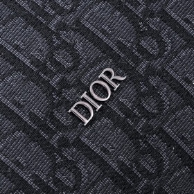 9669 Эта сумка Dior Lingot 50 — новинка этого сезона. Она изготов