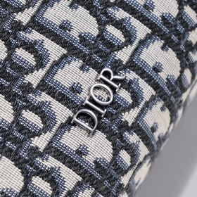 Эта сумка Dior Lingot 22 — новинка этого сезона. Она изготовлена 