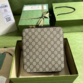 Средняя сумка GG, новая серия дорожных аксессуаров Gucci, вдохнов
