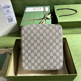 Средняя сумка GG, новая серия дорожных аксессуаров Gucci, вдохнов