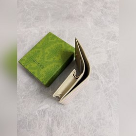 В весенне-летней коллекции представлена новая модель Gucci 1955 с