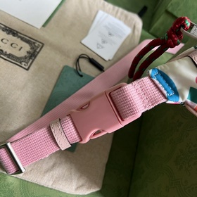 Совместная коллекция поясных сумок The North Face x Gucci. The No