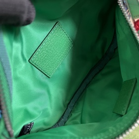 Совместная коллекция поясных сумок The North Face x Gucci. The No