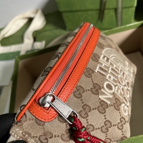 Совместная коллекция поясных сумок The North Face x Gucci The Nor