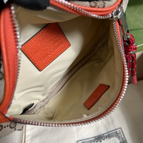 Совместная коллекция поясных сумок The North Face x Gucci The Nor