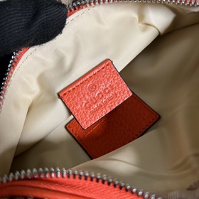 Совместная коллекция поясных сумок The North Face x Gucci The Nor