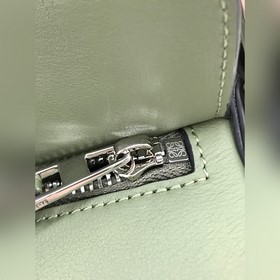 Новый цвет фруктового зеленого, стильные мужчины и женщины, лакон