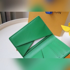 Карточный чехол Дань уважения цветовой концепции дизайнера Вирджи