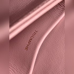 23 Новинка ранней весны Mini Besace из гладкой кожи с мотивом Три
