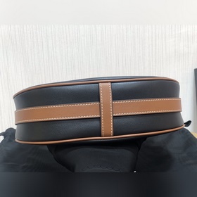 Осенне-зимняя коллекция 2023 Новая сумка AVA STRAP от CELINE Сумк