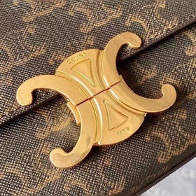 Triomphe Triumphal Arch Underarm Bag Ограниченная серия весна-лет