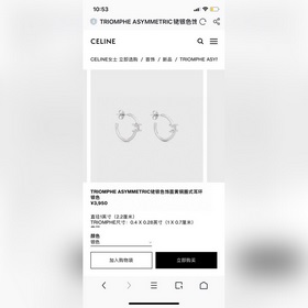 Новые серьги Celine Triumphal Arch отличаются уникальным дизайном