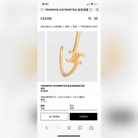 Новый браслет Celine Triomphe обладает уникальным дизайном индиви