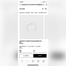 Новый браслет Celine Triomphe обладает уникальным дизайном индиви