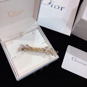 Популярные односторонние серьги Dior из серии DIOR Horse Shoe с э