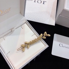 Популярные односторонние серьги Dior из серии DIOR Horse Shoe с э