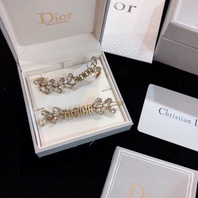 Популярные односторонние серьги Dior из серии DIOR Horse Shoe с э