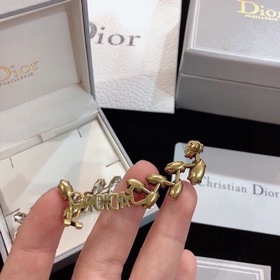 Популярные односторонние серьги Dior из серии DIOR Horse Shoe с э