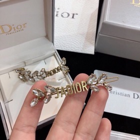 Популярные односторонние серьги Dior из серии DIOR Horse Shoe с э