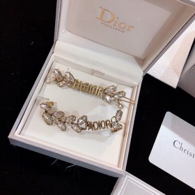 Популярные односторонние серьги Dior из серии DIOR Horse Shoe с э