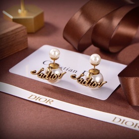 Оригинальные новые серьги-гвоздики DIOR с буквой DIOR, изготовлен