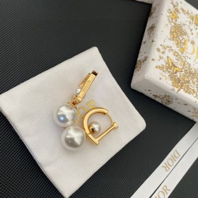 Dior 2023 D-образные серьги с буквамиз того же материала, что и п