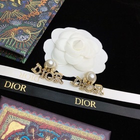 Dior Оригинальные серьги-гвоздики с буквой DIOR 2023 года, изгото