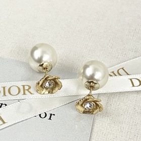 Код E2336 0237825 Популярные серьги-гвоздики DIOR в продаже  Сер