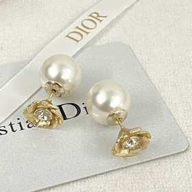 Код E2336 0237825 Популярные серьги-гвоздики DIOR в продаже  Сер