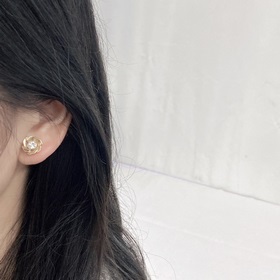Код E2336 0237825 Популярные серьги-гвоздики DIOR в продаже  Сер